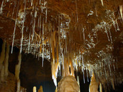 grotte_tourtoirac_2.jpg