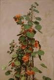 images-11.jpg
