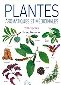 plantes.jpg